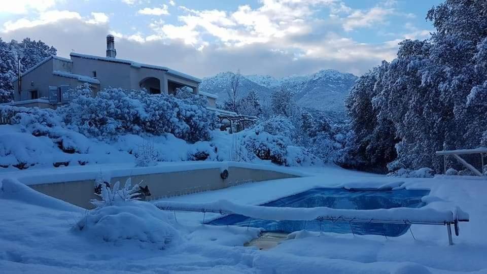 Gites San Austinu Petreto-Bicchisano المظهر الخارجي الصورة