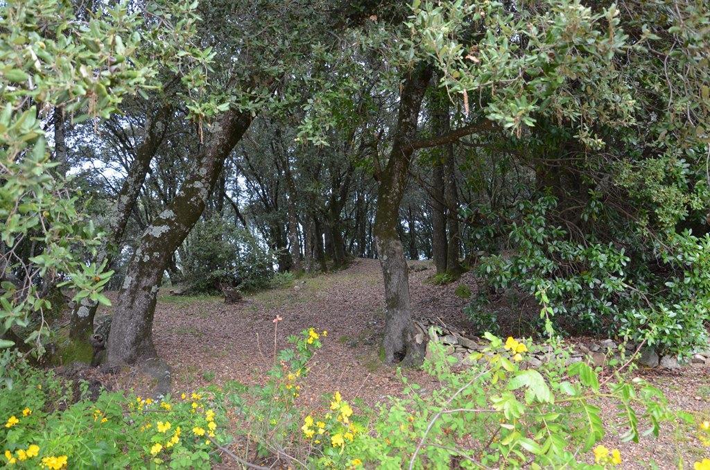 Gites San Austinu Petreto-Bicchisano المظهر الخارجي الصورة